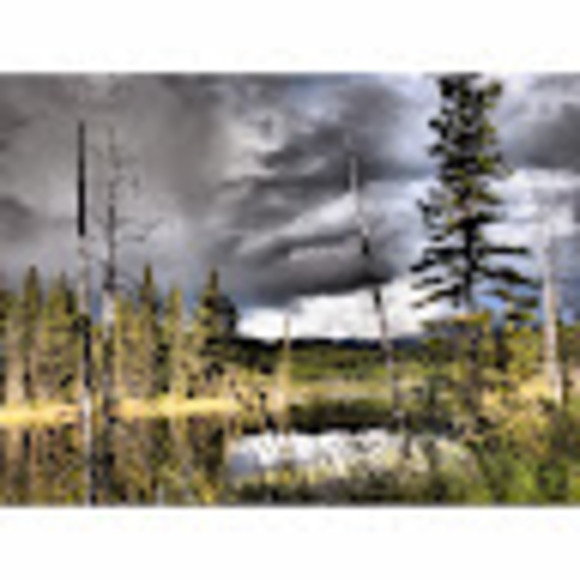 Meet your Posher, Erin - Picture 1 of 1